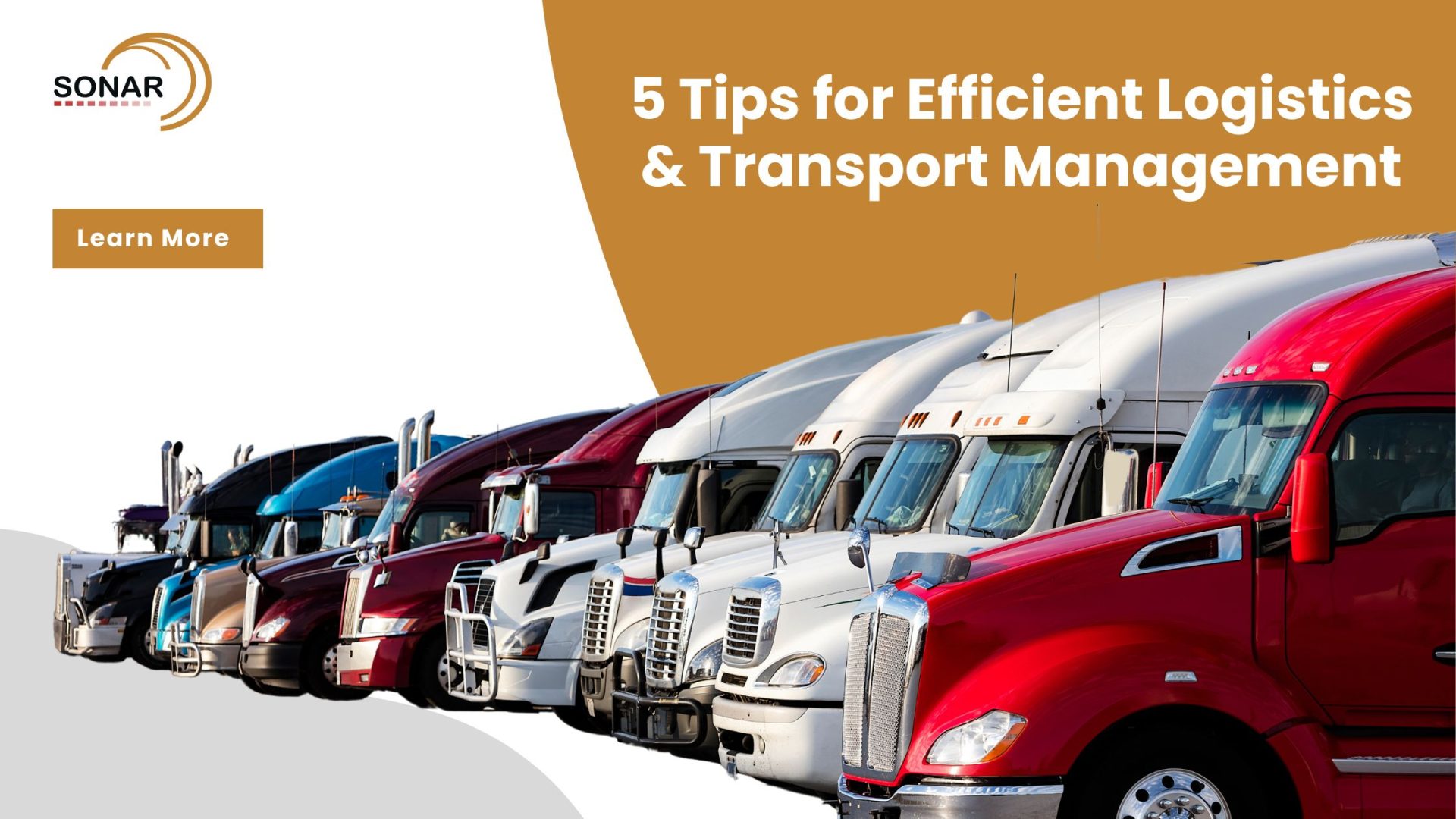 5 Tips For Efficient Logistics And Transport Management 1625